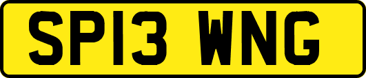 SP13WNG