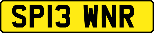 SP13WNR