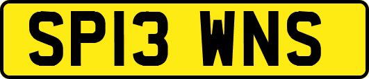 SP13WNS