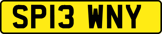 SP13WNY