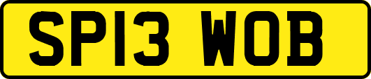 SP13WOB