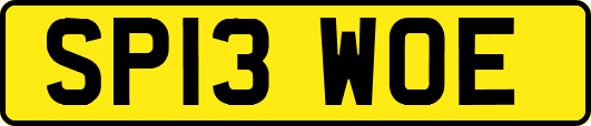 SP13WOE