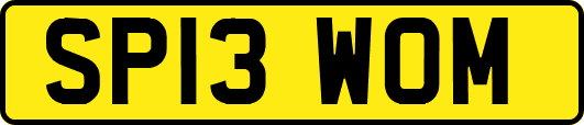 SP13WOM