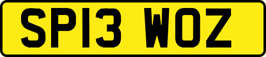 SP13WOZ