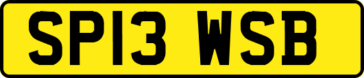 SP13WSB