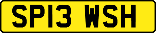 SP13WSH