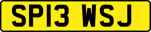 SP13WSJ