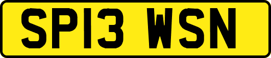 SP13WSN