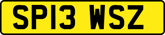 SP13WSZ