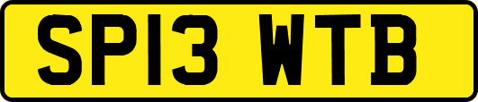 SP13WTB