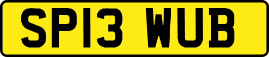 SP13WUB