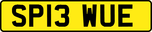 SP13WUE