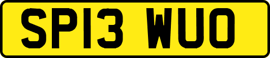 SP13WUO