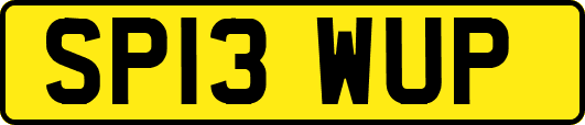 SP13WUP