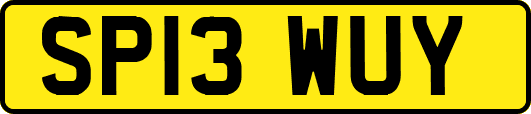 SP13WUY