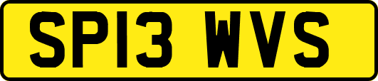 SP13WVS