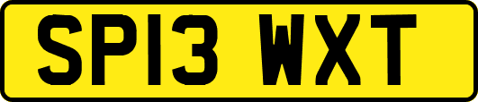 SP13WXT