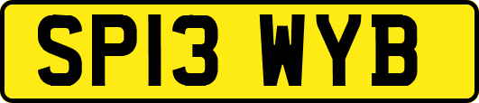 SP13WYB