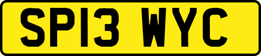 SP13WYC