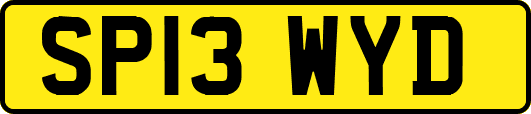 SP13WYD