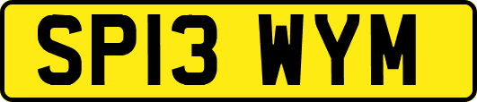 SP13WYM