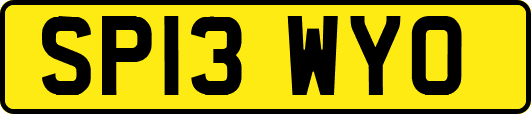 SP13WYO