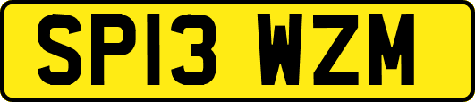SP13WZM