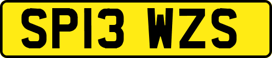 SP13WZS