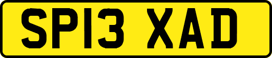 SP13XAD