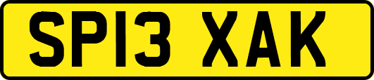 SP13XAK