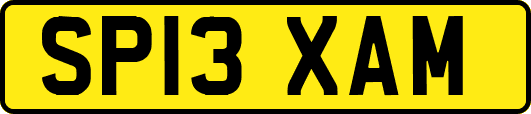 SP13XAM