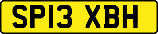 SP13XBH