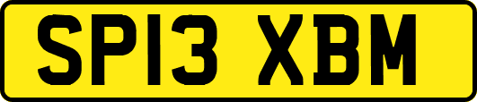 SP13XBM