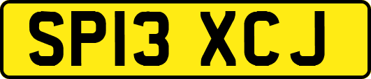 SP13XCJ