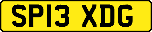 SP13XDG