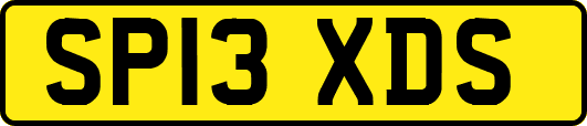 SP13XDS