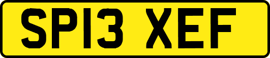 SP13XEF