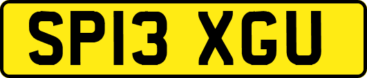 SP13XGU