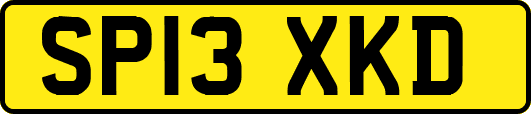 SP13XKD