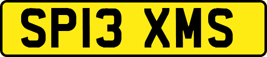 SP13XMS