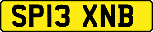 SP13XNB
