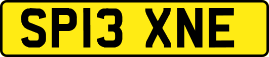 SP13XNE