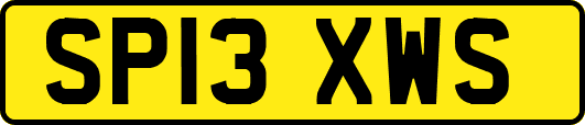 SP13XWS