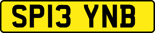 SP13YNB
