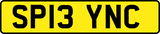 SP13YNC