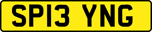 SP13YNG