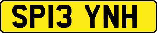 SP13YNH