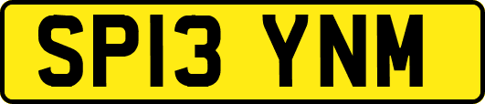 SP13YNM