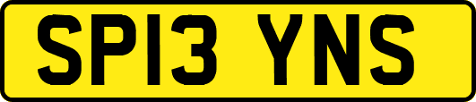 SP13YNS