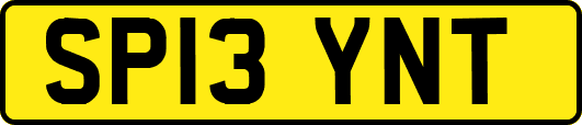 SP13YNT